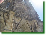IMG_5683.JPG