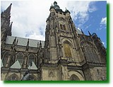 IMG_5701.JPG