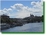 IMG_5805.JPG