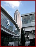 IMG_4154.JPG