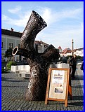 IMG_3503.JPG