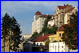 IMG_3515.JPG