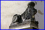 IMG_3517.JPG