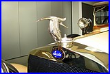 IMG_3527.JPG
