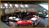 IMG_20170922_102021.jpg