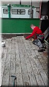 FB_IMG_1495476941494.jpg