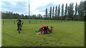 FB_IMG_1495477741083.jpg