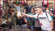PK253926.JPG