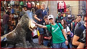 PK253929.JPG
