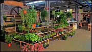 PK284414.JPG