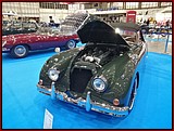 IMG_20211105_121155.jpg