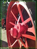 IMG_20210930_095218.jpg