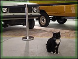 IMG_20210930_101921.jpg