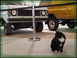 IMG_20210930_101927.jpg