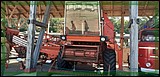 IMG_20210930_110713.jpg