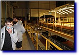 IMG_0050.JPG