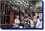 IMG_0156.JPG