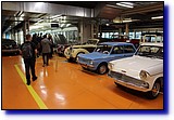 IMG_9981.JPG