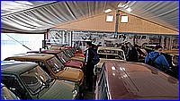 IMG_20220429_122252.jpg