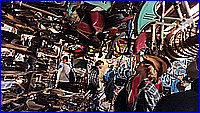 IMG_20220429_151236.jpg