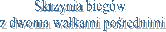 Skrzynia biegw 
z dwoma wakami porednimi
